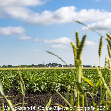HRW_Nieuwkoop_FCZ9449_werkbestanden_CZF(c)2023