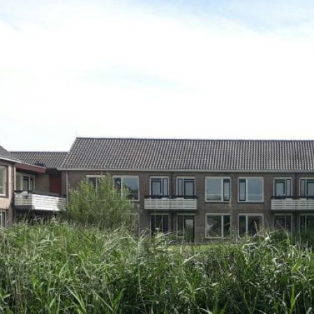 Roodborstlaan-riet-620x387